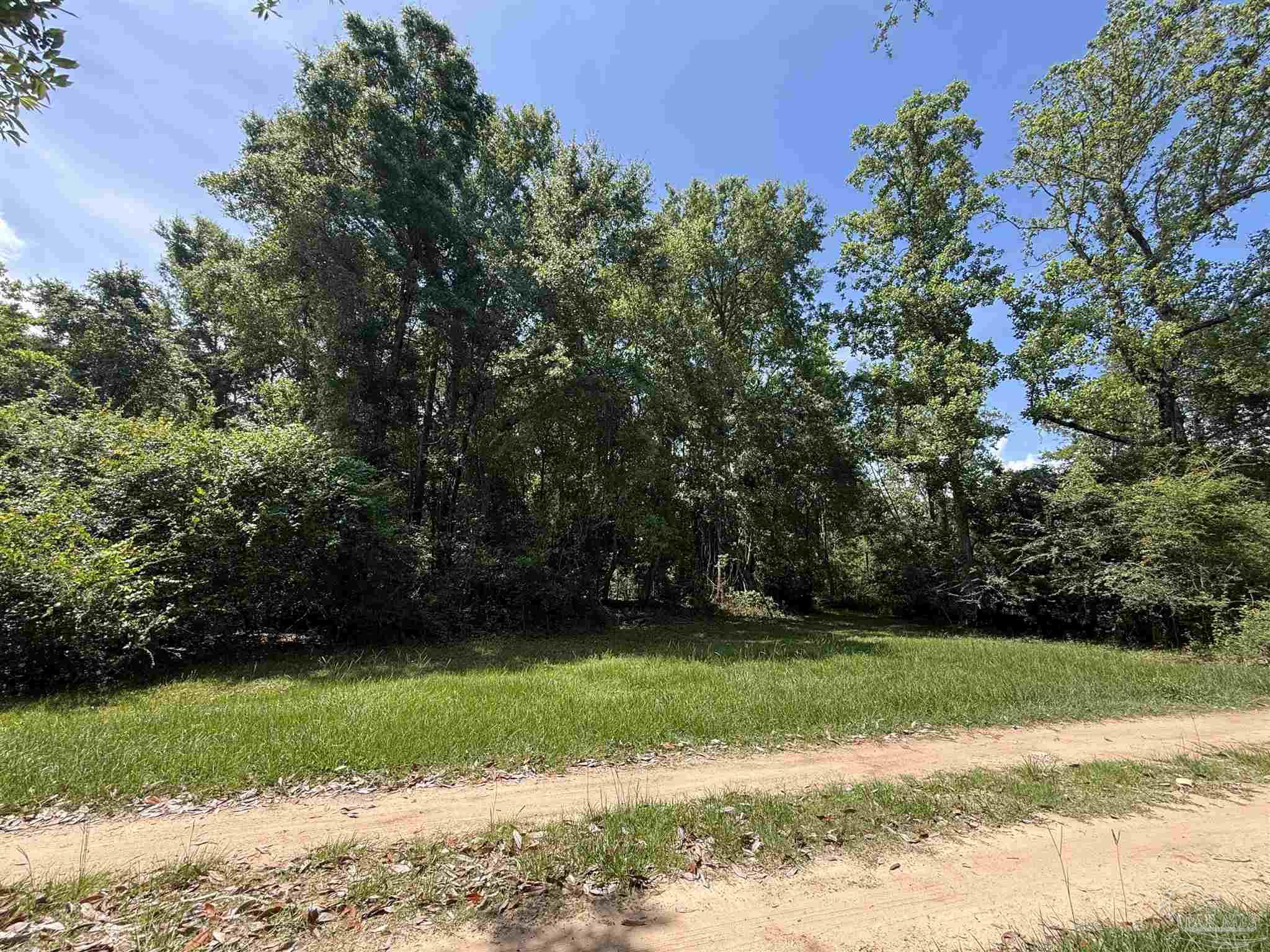 0 Rodella Street Pace, FL 32571 - Photo 3 of 10 a view of a yard