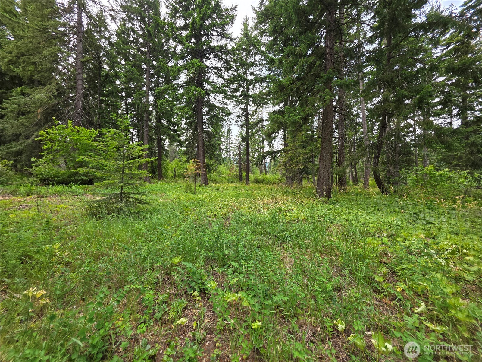 -r Lot 4 R Way Cle Elum, WA 98922 - Photo 1 of 36 Gallery Image 1