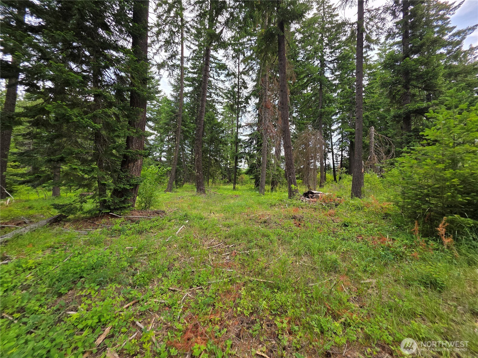 -r Lot 4 R Way Cle Elum, WA 98922 - Photo 11 of 36 Gallery Image 11