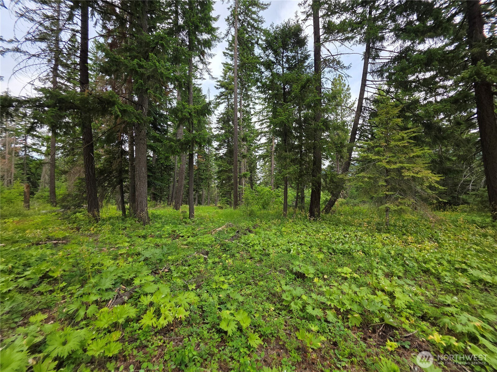 -r Lot 4 R Way Cle Elum, WA 98922 - Photo 12 of 36 Gallery Image 12