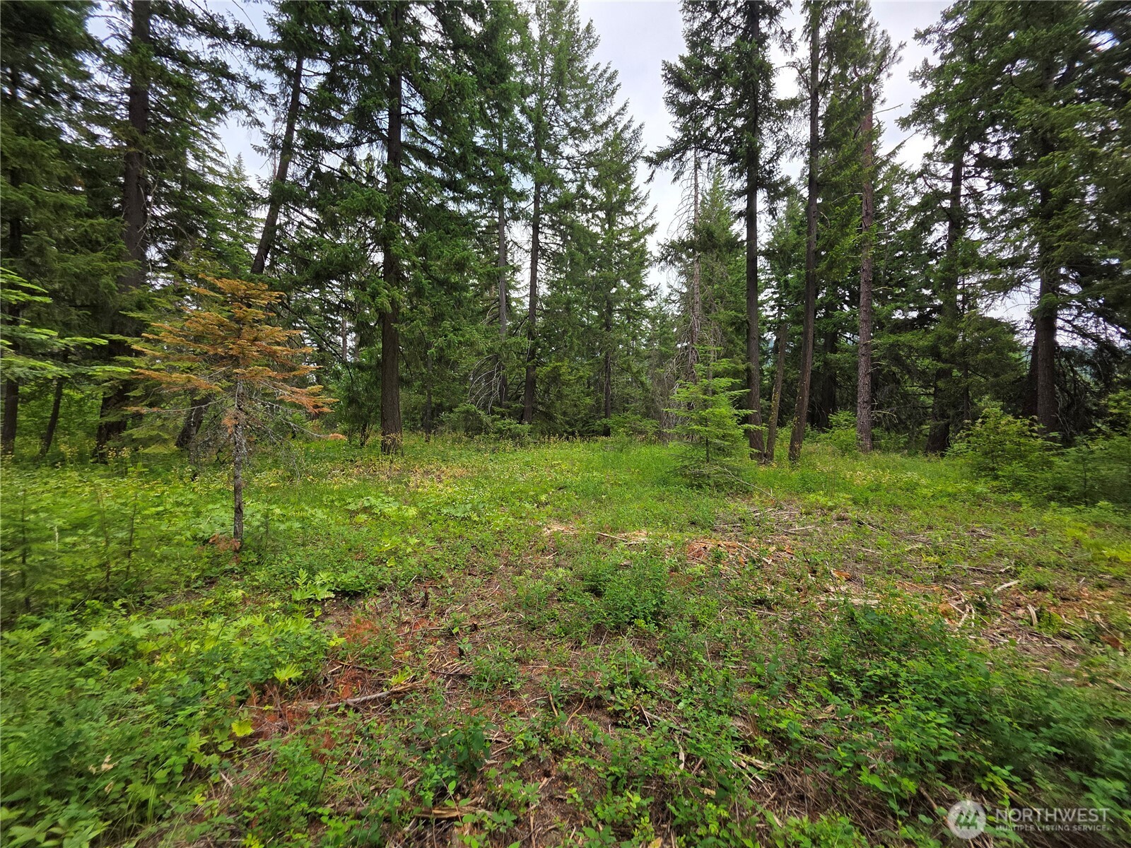 -r Lot 4 R Way Cle Elum, WA 98922 - Photo 13 of 36 Gallery Image 13
