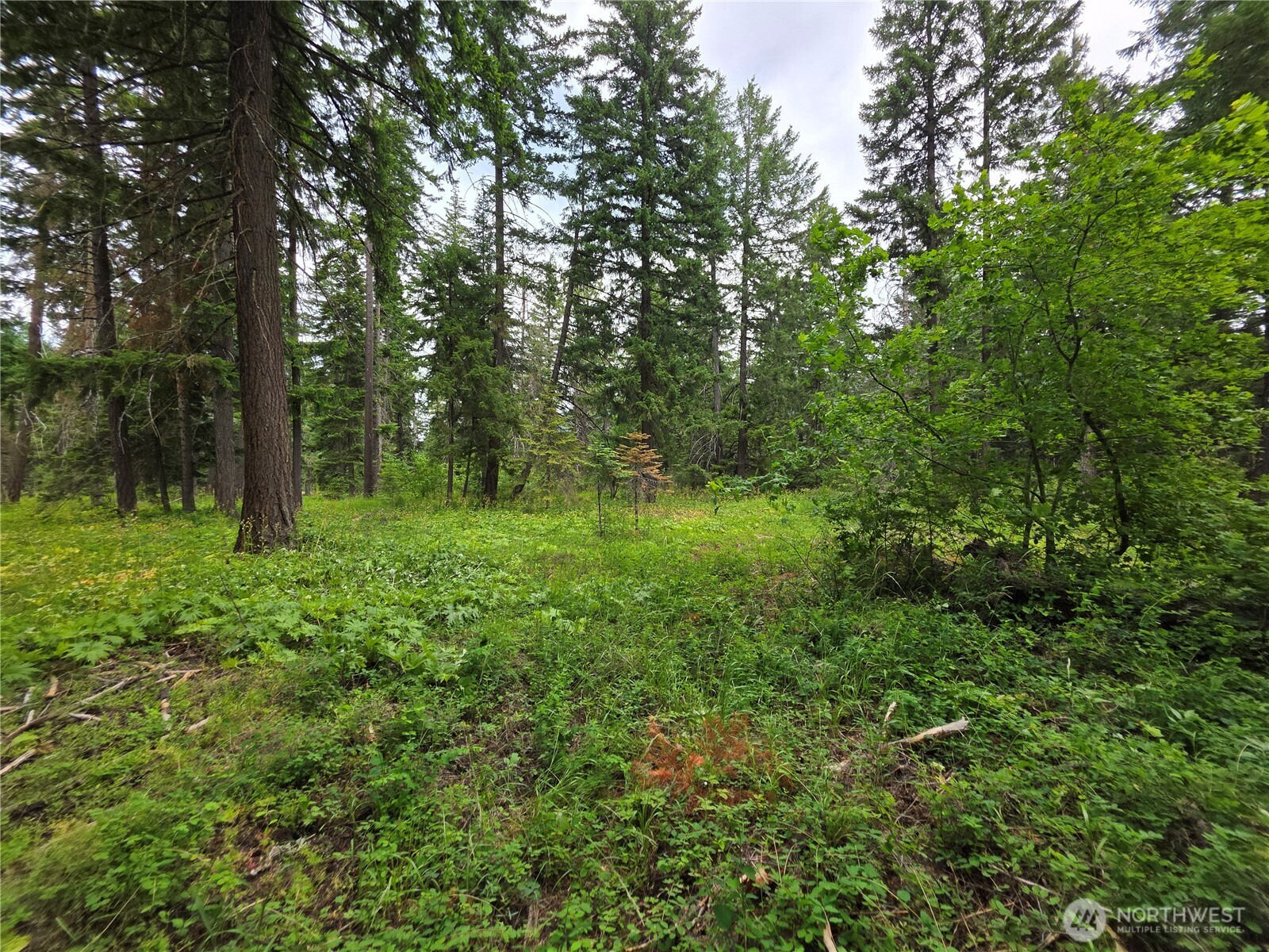 -r Lot 4 R Way Cle Elum, WA 98922 - Photo 14 of 36 Gallery Image 14