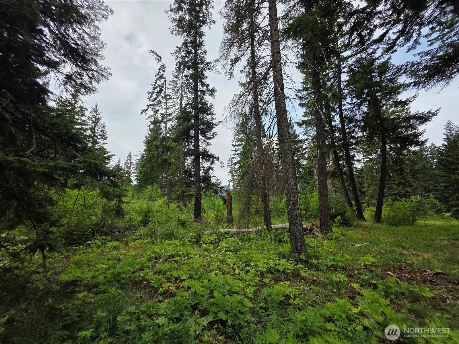 -r Lot 4 R Way Cle Elum, WA 98922 - Photo 15 of 36 Gallery Image 15