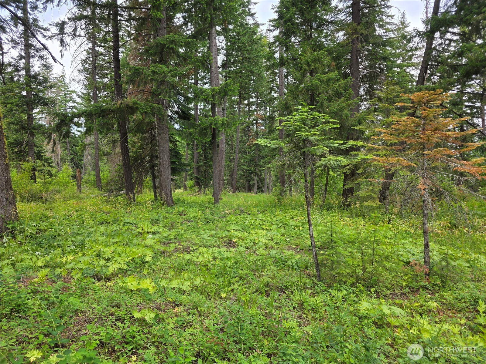 -r Lot 4 R Way Cle Elum, WA 98922 - Photo 16 of 36 Gallery Image 16