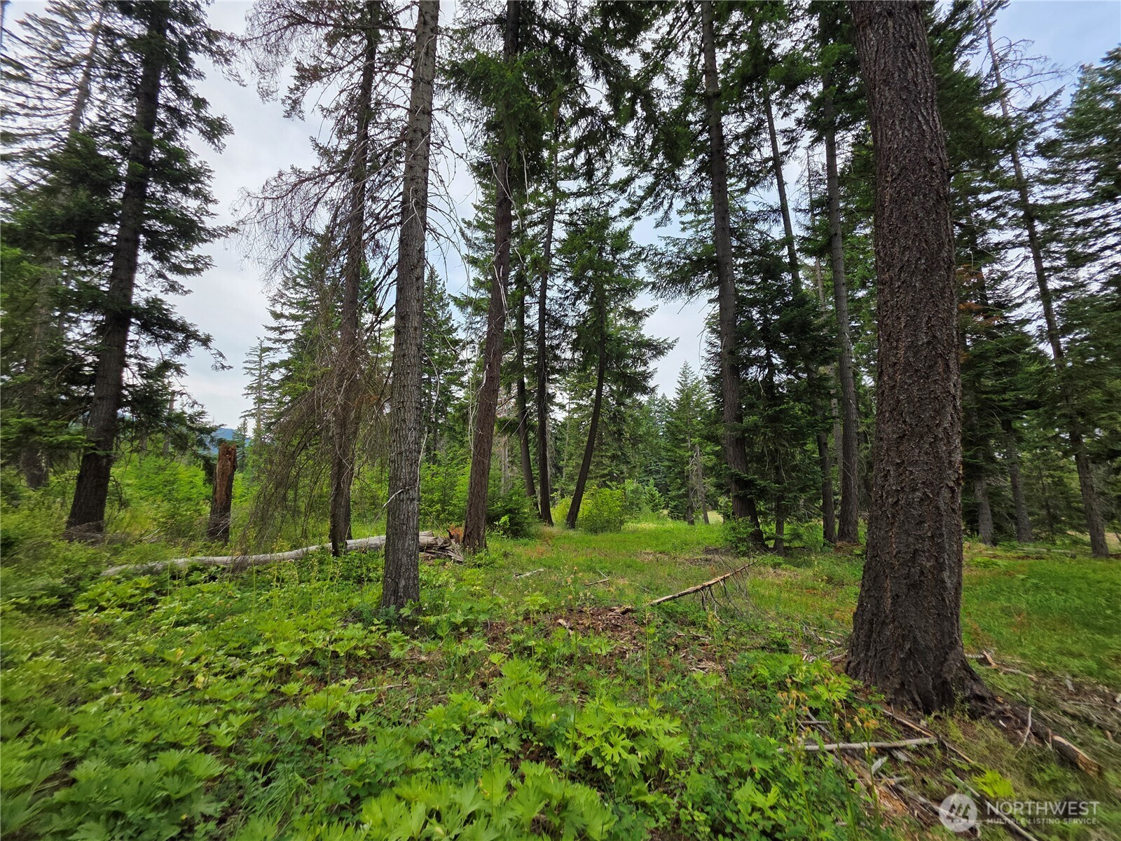 -r Lot 4 R Way Cle Elum, WA 98922 - Photo 17 of 36 Gallery Image 17