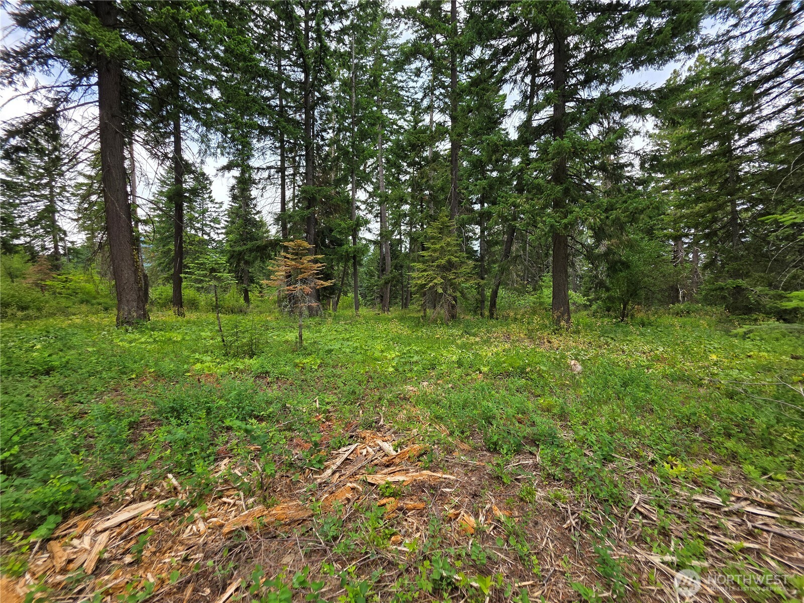 -r Lot 4 R Way Cle Elum, WA 98922 - Photo 19 of 36 Gallery Image 19