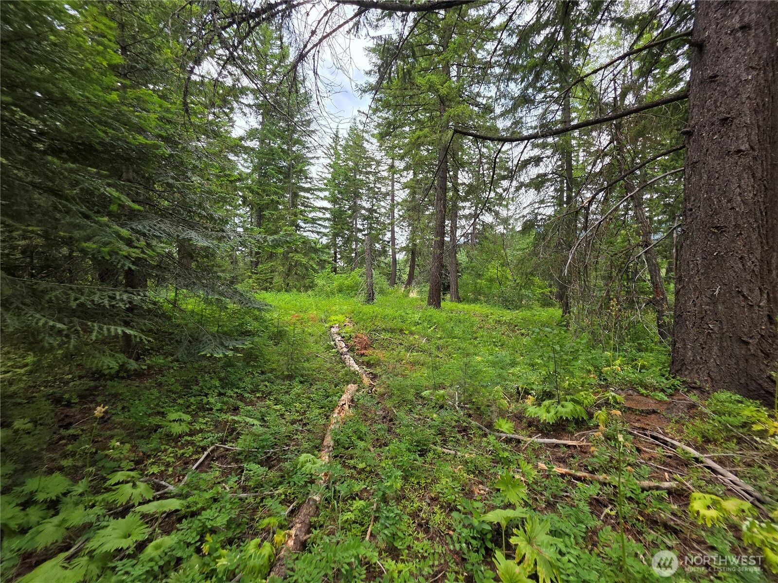 -r Lot 4 R Way Cle Elum, WA 98922 - Photo 20 of 36 Gallery Image 20
