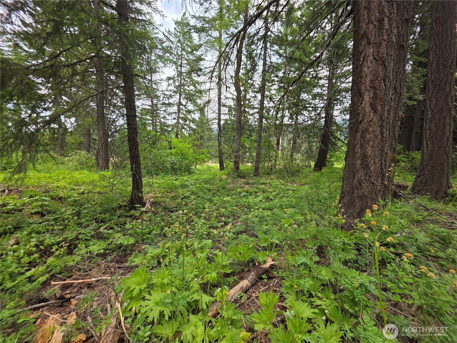 -r Lot 4 R Way Cle Elum, WA 98922 - Photo 21 of 36 Gallery Image 21