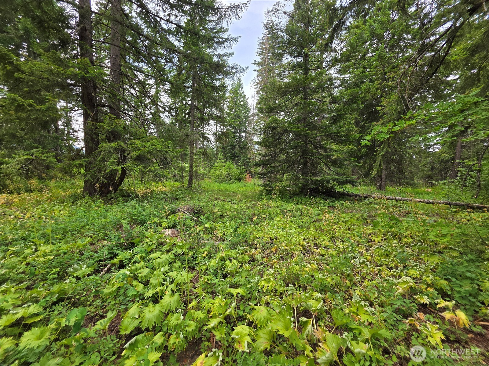 -r Lot 4 R Way Cle Elum, WA 98922 - Photo 22 of 36 Gallery Image 22