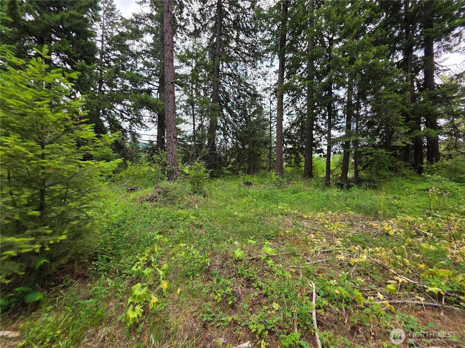 -r Lot 4 R Way Cle Elum, WA 98922 - Photo 23 of 36 Gallery Image 23