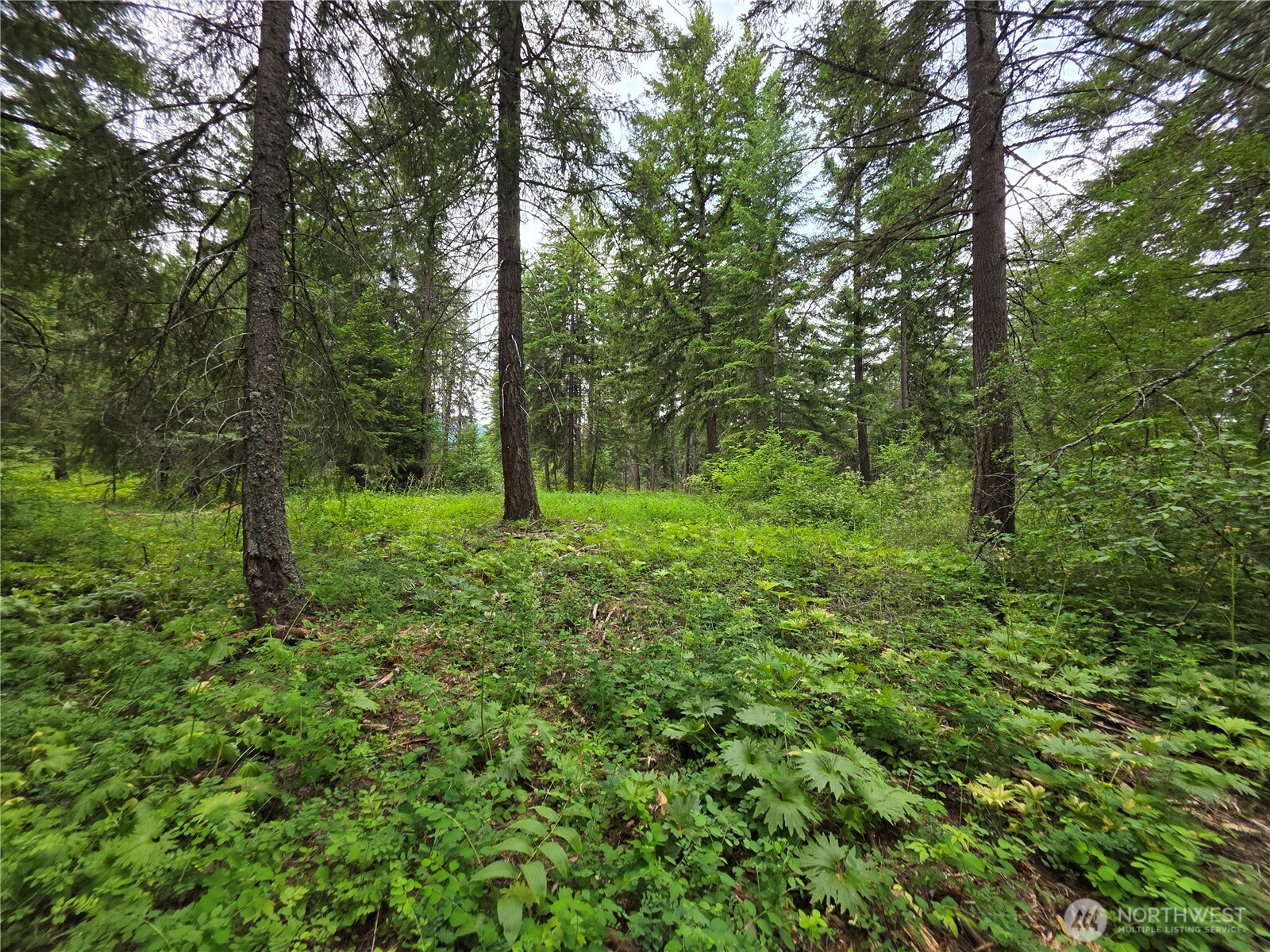 -r Lot 4 R Way Cle Elum, WA 98922 - Photo 25 of 36 Gallery Image 25