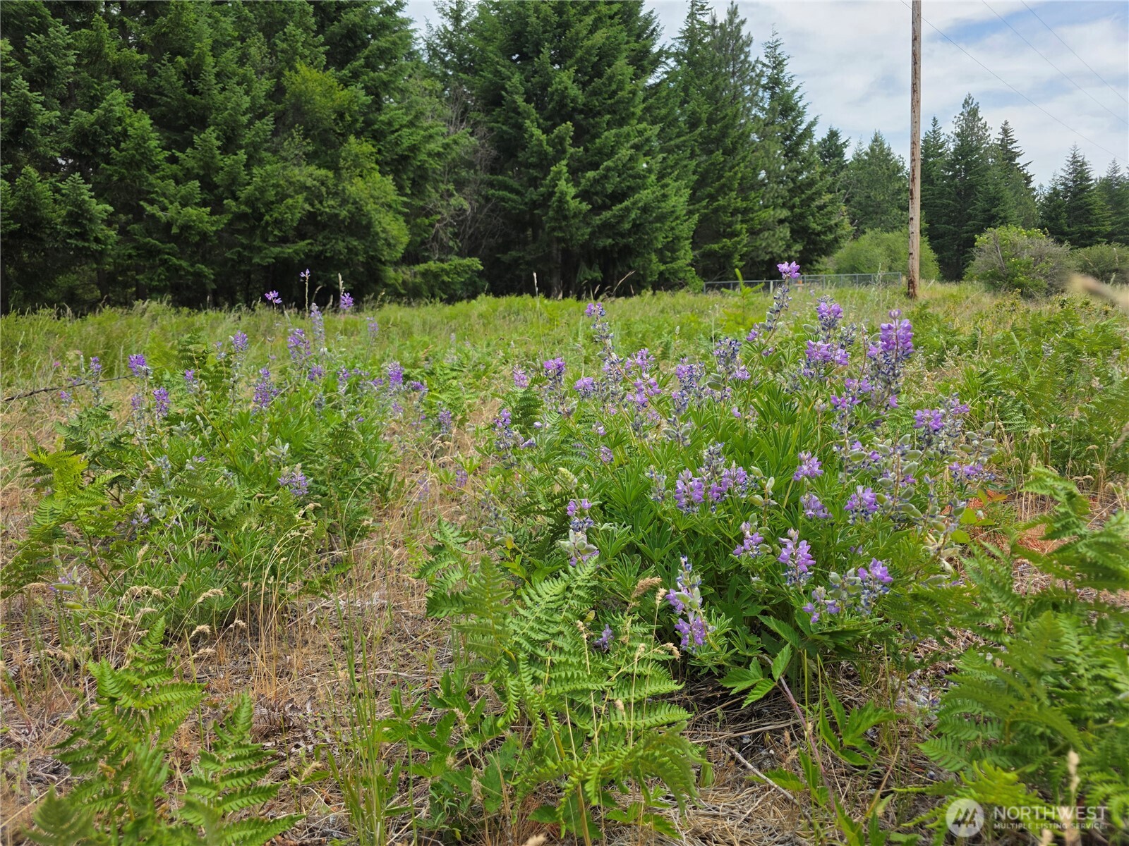 -r Lot 4 R Way Cle Elum, WA 98922 - Photo 29 of 36 Gallery Image 29