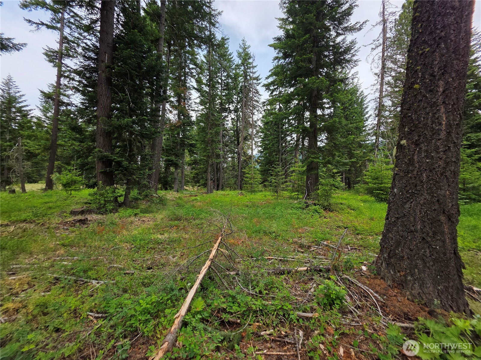 -r Lot 4 R Way Cle Elum, WA 98922 - Photo 3 of 36 Gallery Image 3