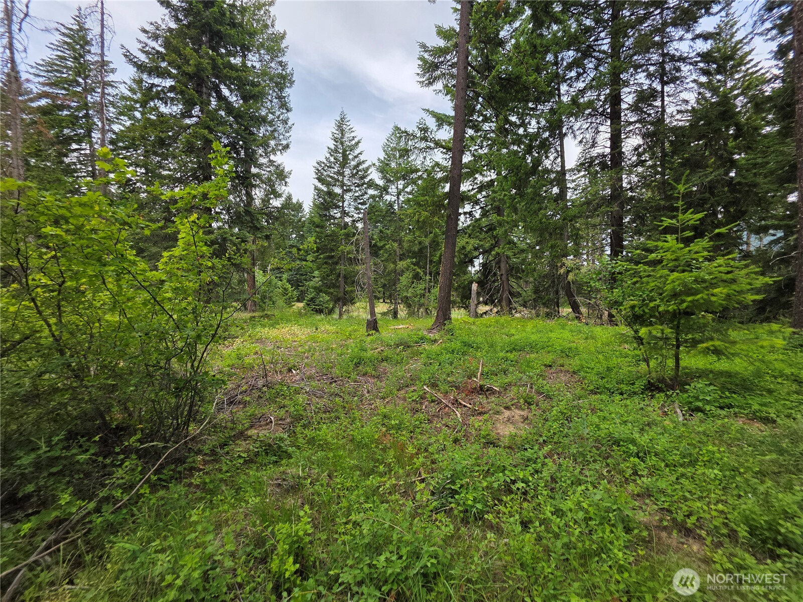 -r Lot 4 R Way Cle Elum, WA 98922 - Photo 4 of 36 Gallery Image 4