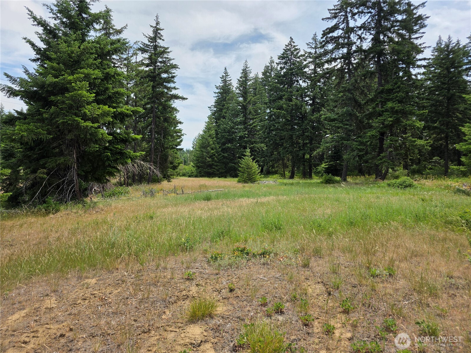 -r Lot 4 R Way Cle Elum, WA 98922 - Photo 6 of 36 Gallery Image 6