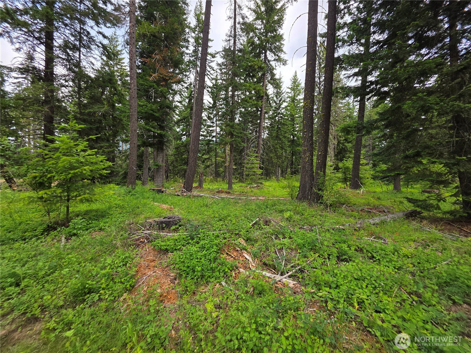 -r Lot 4 R Way Cle Elum, WA 98922 - Photo 7 of 36 Gallery Image 7