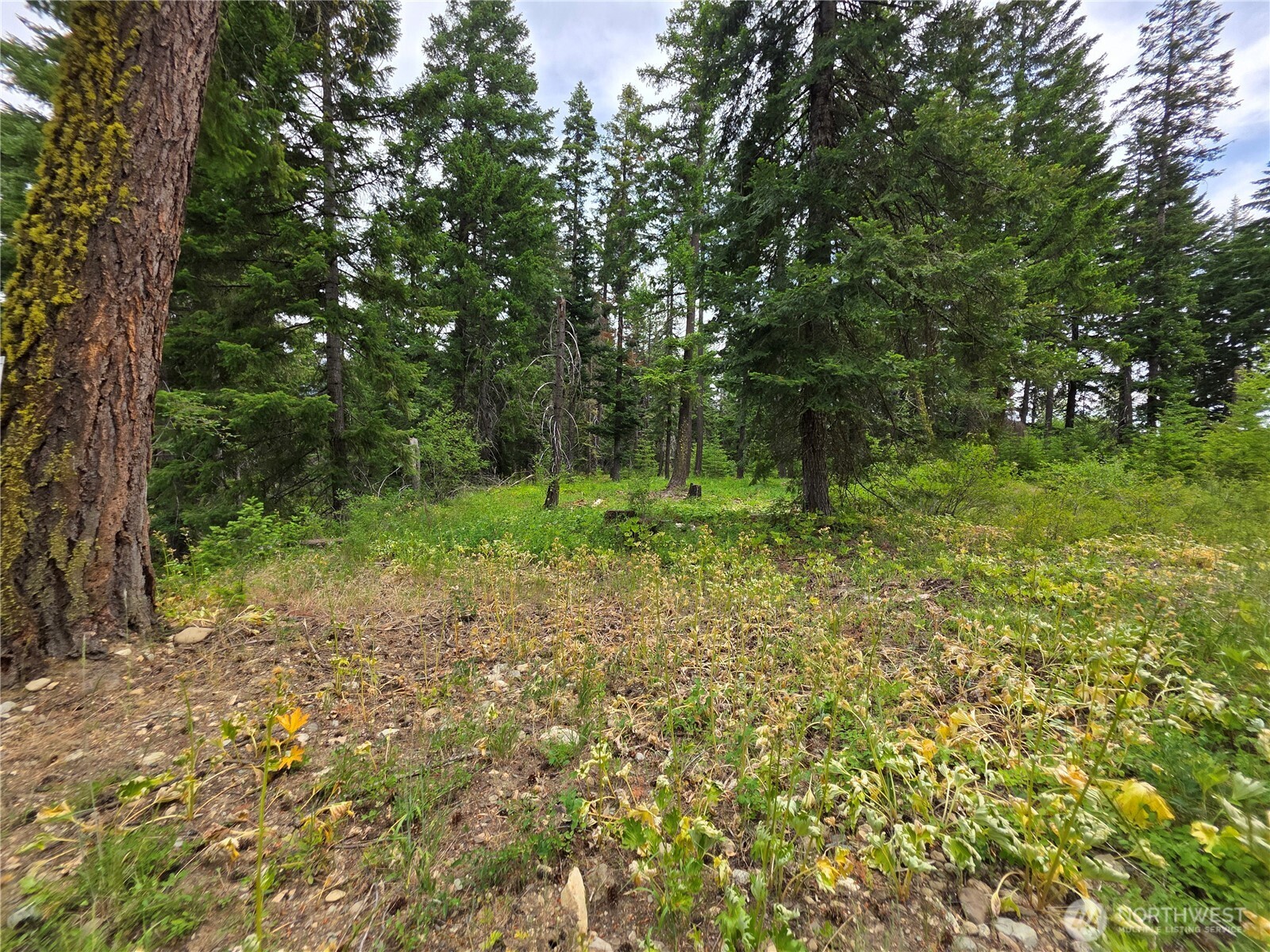-r Lot 4 R Way Cle Elum, WA 98922 - Photo 8 of 36 Gallery Image 8