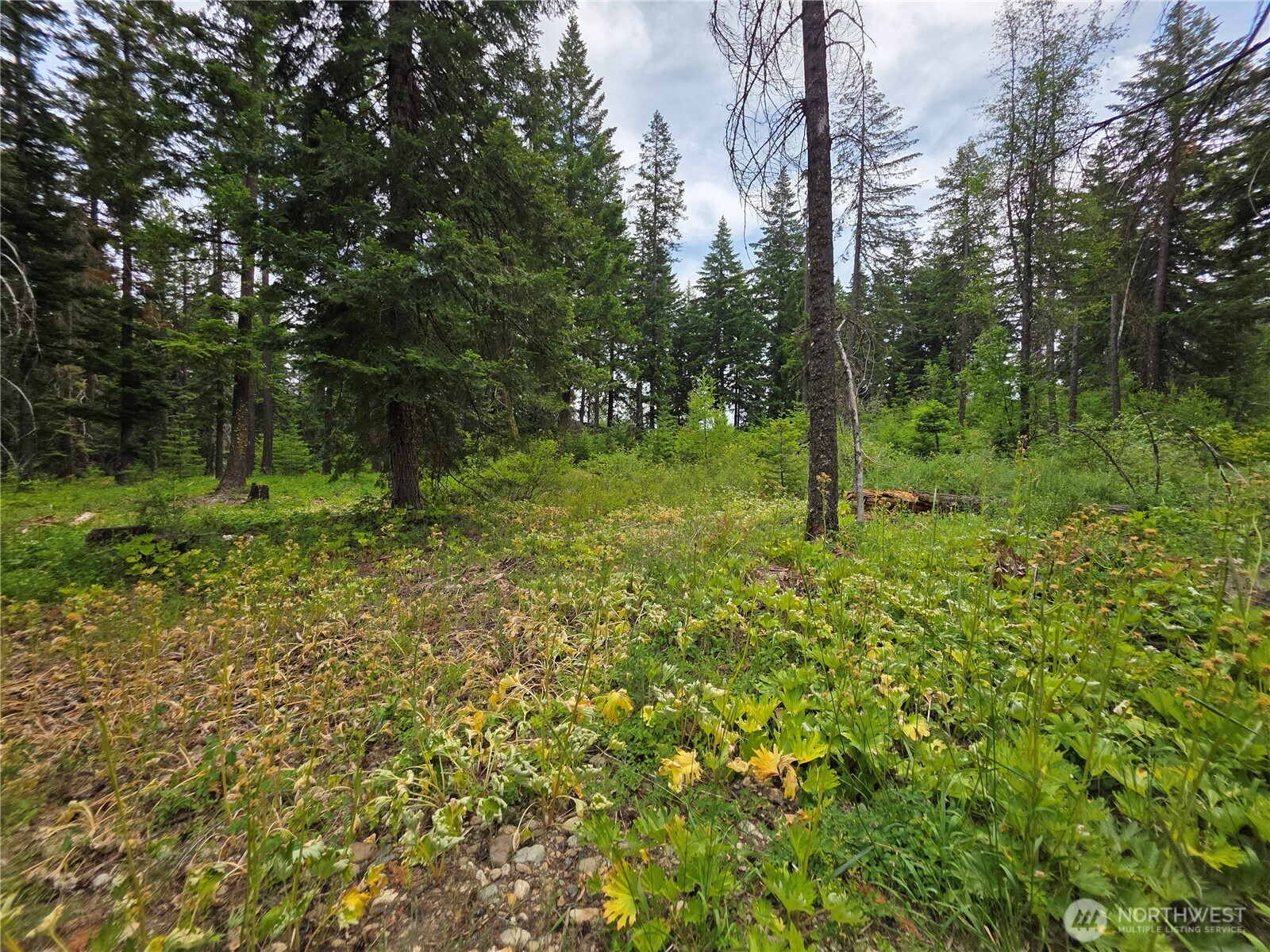 -r Lot 4 R Way Cle Elum, WA 98922 - Photo 9 of 36 Gallery Image 9