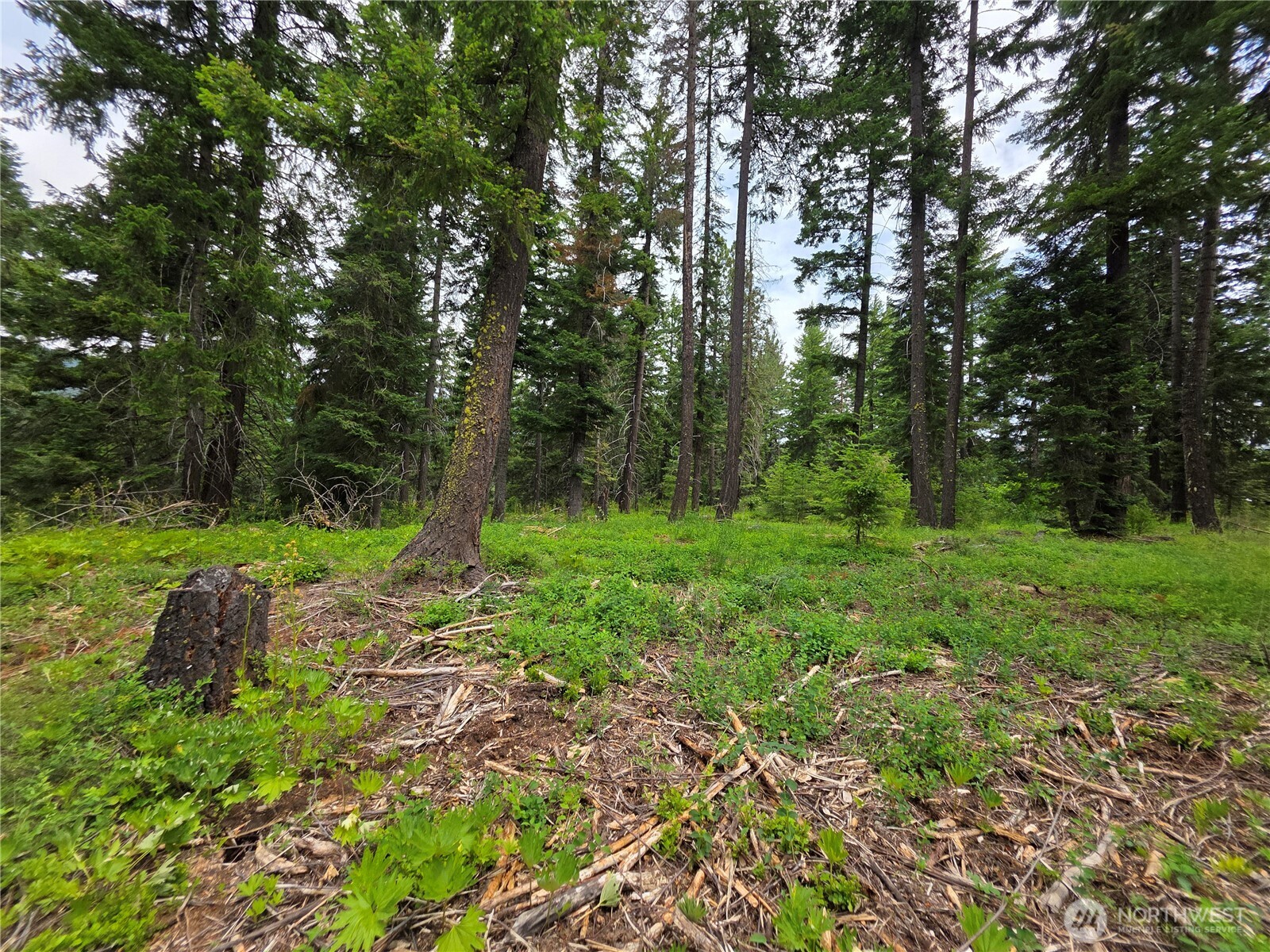 -r Lot 4 R Way Cle Elum, WA 98922 - Photo 10 of 36 Gallery Image 10