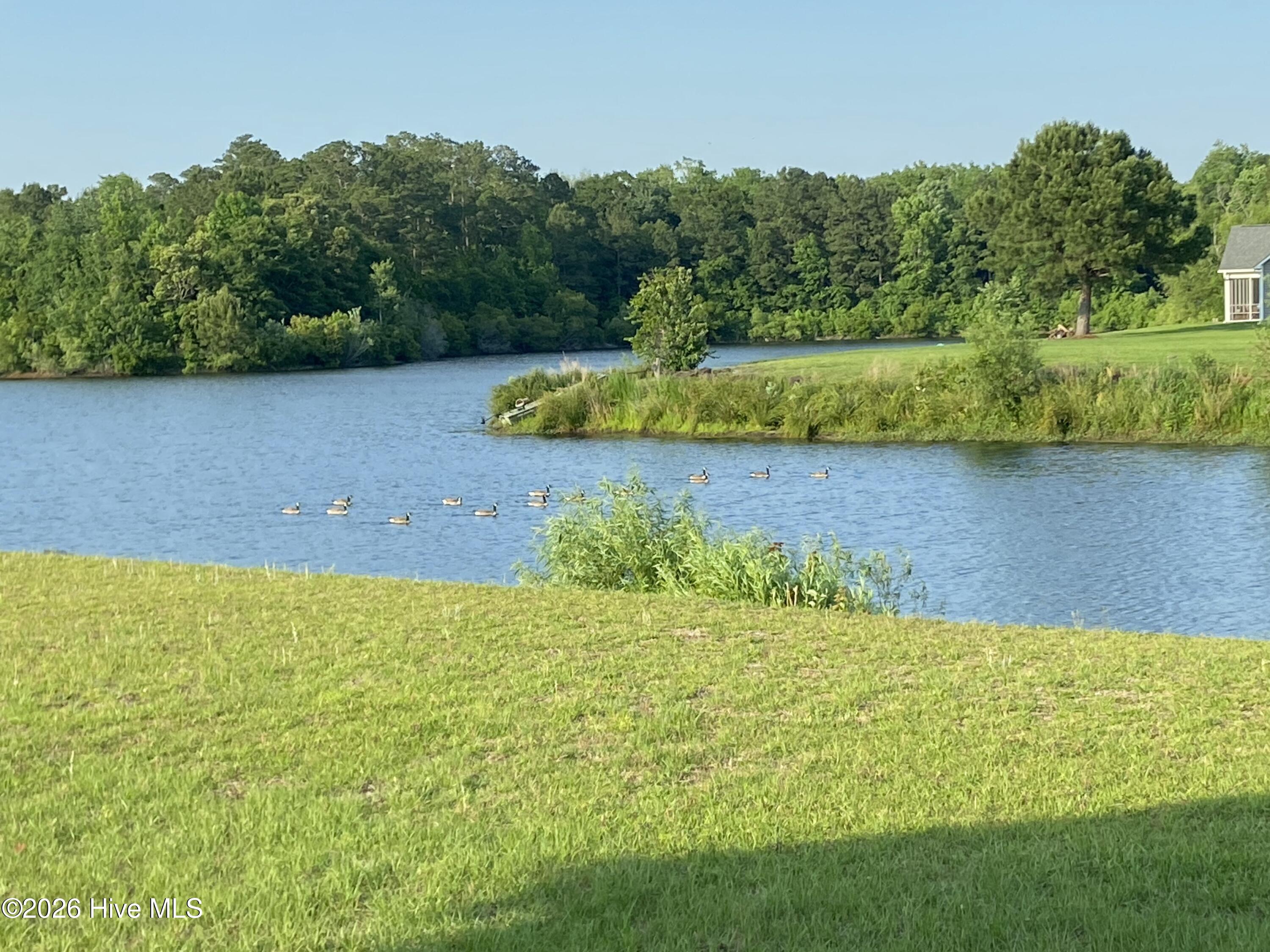 205 Antioch Lakes Road New Bern, NC 28560 - Photo 44 of 53 IMG_20260302_170957