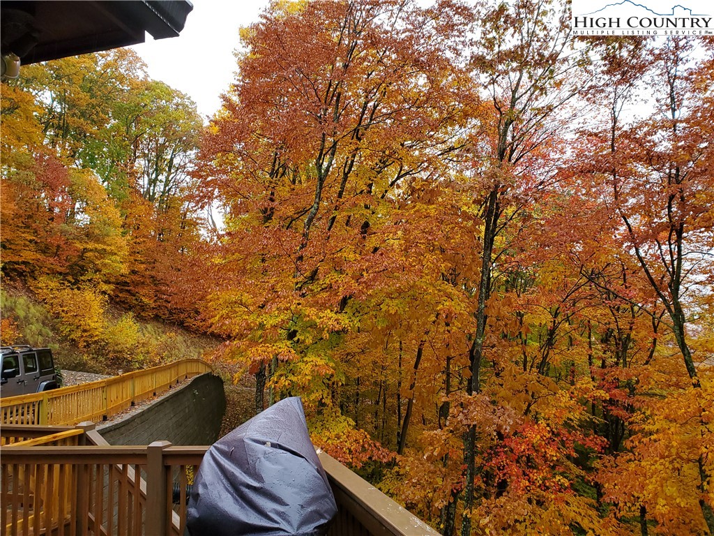 217 Rainbow Ridge Road Zionville, NC 28698 - Photo 12 of 42