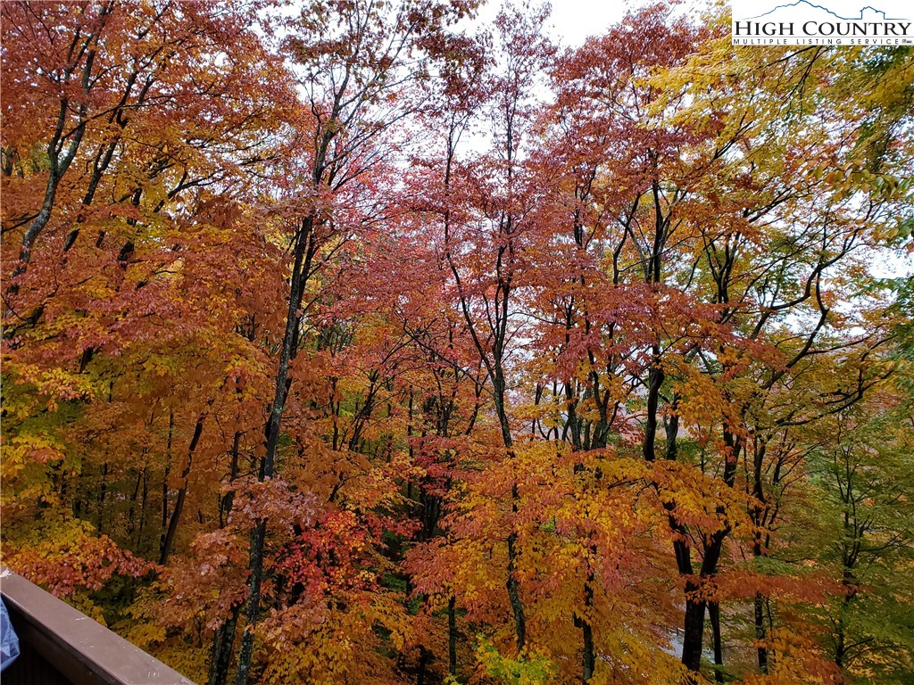 217 Rainbow Ridge Road Zionville, NC 28698 - Photo 10 of 42