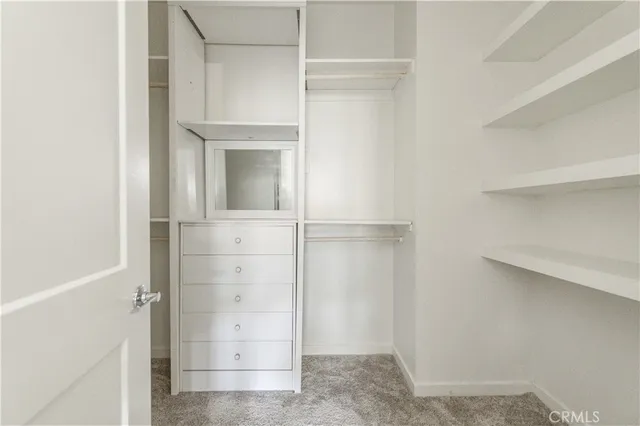 a view of a swimming pool with a garden and plants