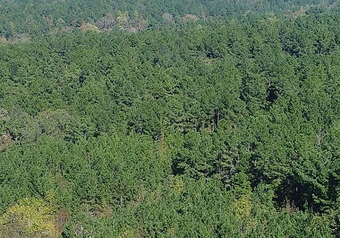 630 Horseshoe Road Rockingham, NC 28379 - Photo 2 of 4 IMG_1183