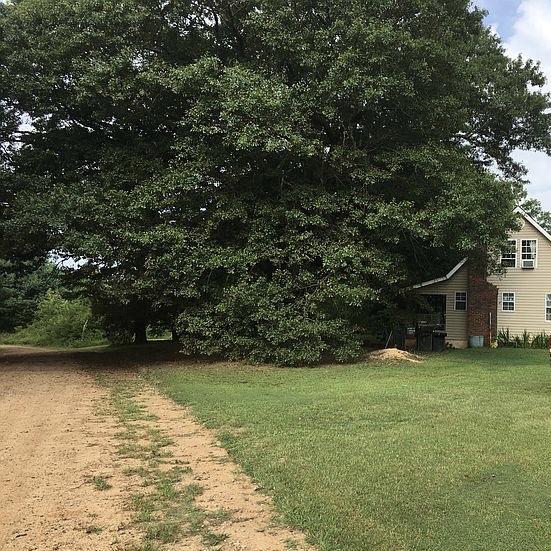 630 Horseshoe Road Rockingham, NC 28379 - Photo 4 of 4 IMG_1176
