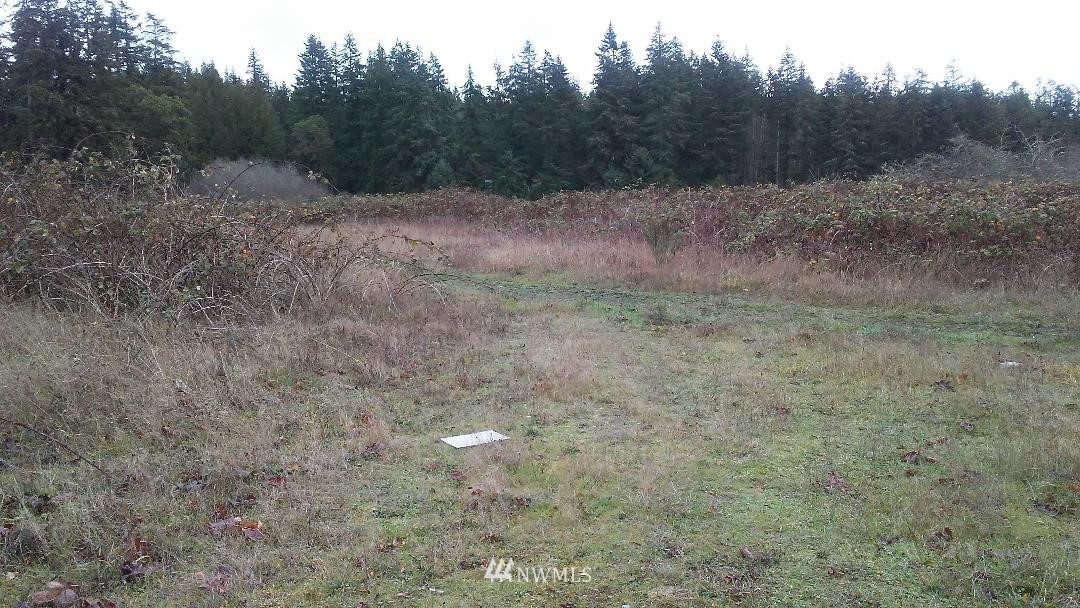 591 Chapman Road Camano Island, WA 98282 - Photo 7 of 11 Gallery Image 7