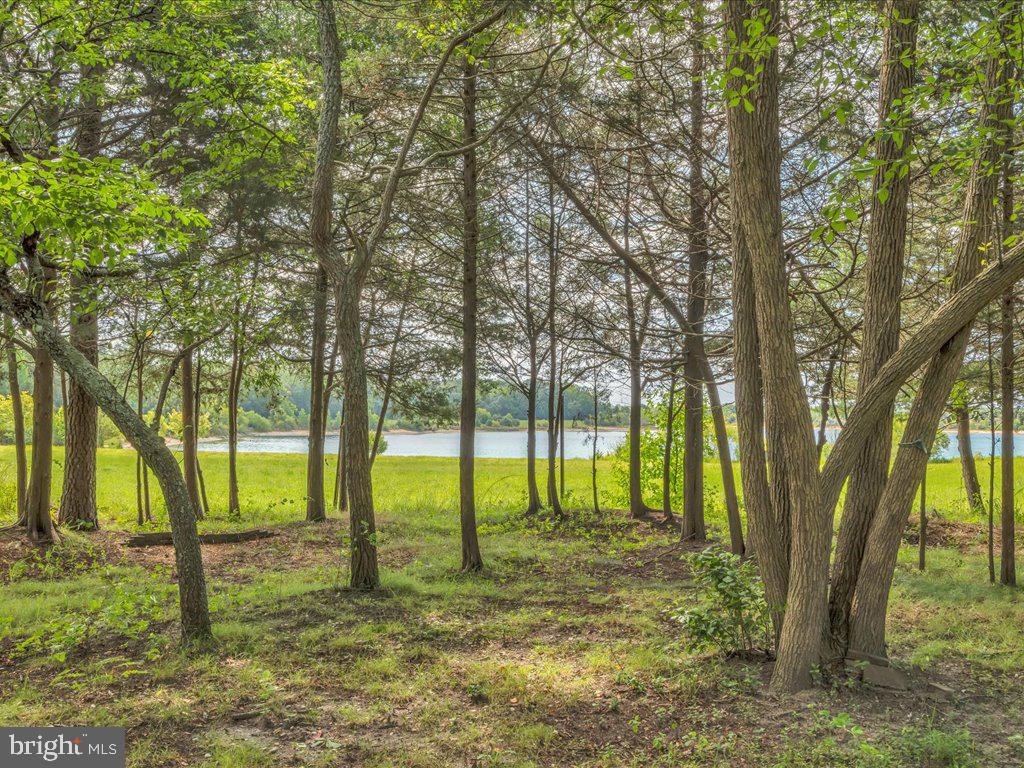 950 Spring Garden Road Port Norris, NJ 08349 - Photo 60 of 68 Gallery Image 60