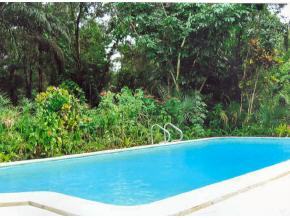 6686 Flamingo Court Melbourne Village, FL 32904 - Photo 2 of 12 a view of a yard with large trees