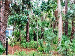 6686 Flamingo Court Melbourne Village, FL 32904 - Photo 3 of 12 a view of a garden