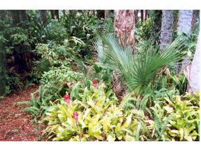 6686 Flamingo Court Melbourne Village, FL 32904 - Photo 10 of 12 a view of a flower