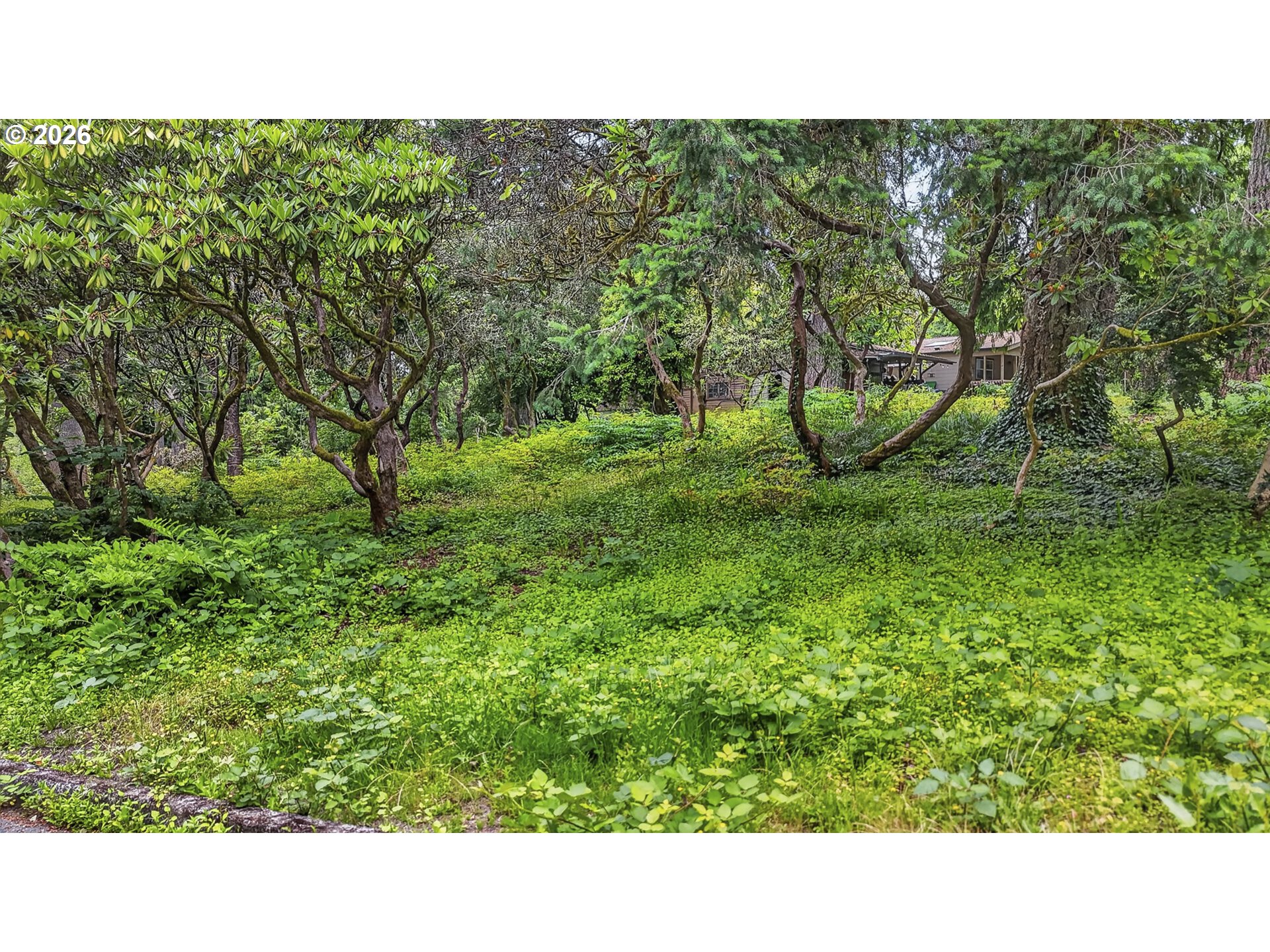 Southwest 16th Drive Portland, OR 97219 - Photo 3 of 22