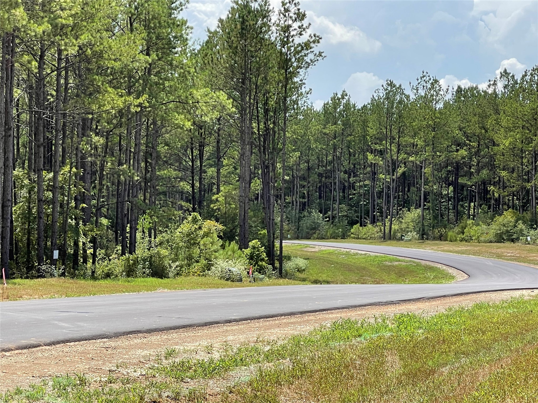 10891 Ruger Road Willis, TX 77378 - Photo 8 of 17 a view of a yard with large trees