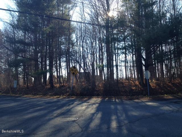 385 Devon Road Lee, MA 01238 - Photo 1 of 1 a view of outdoor space and yard