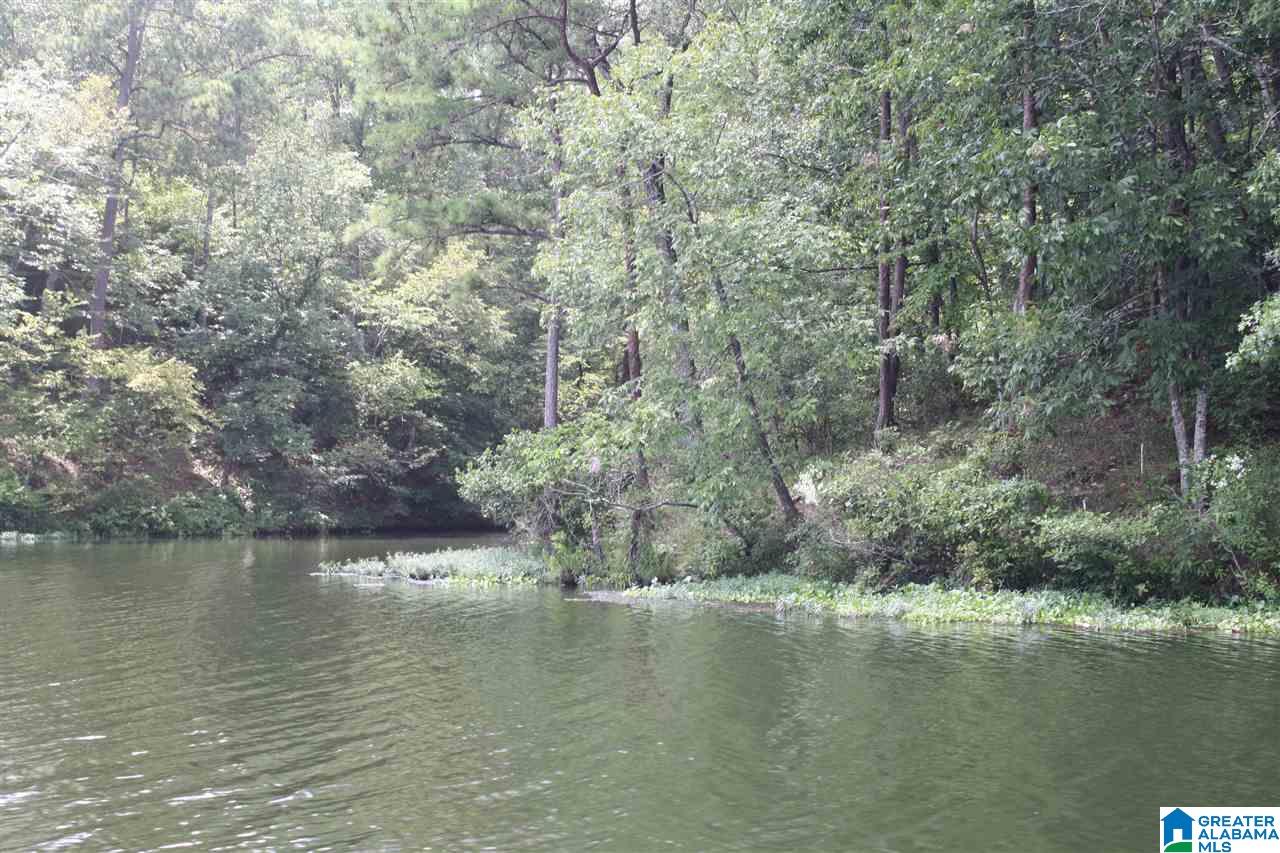 Franklin Ferry Road, Unit 17 Oakman, AL 35579 - Photo 20 of 22