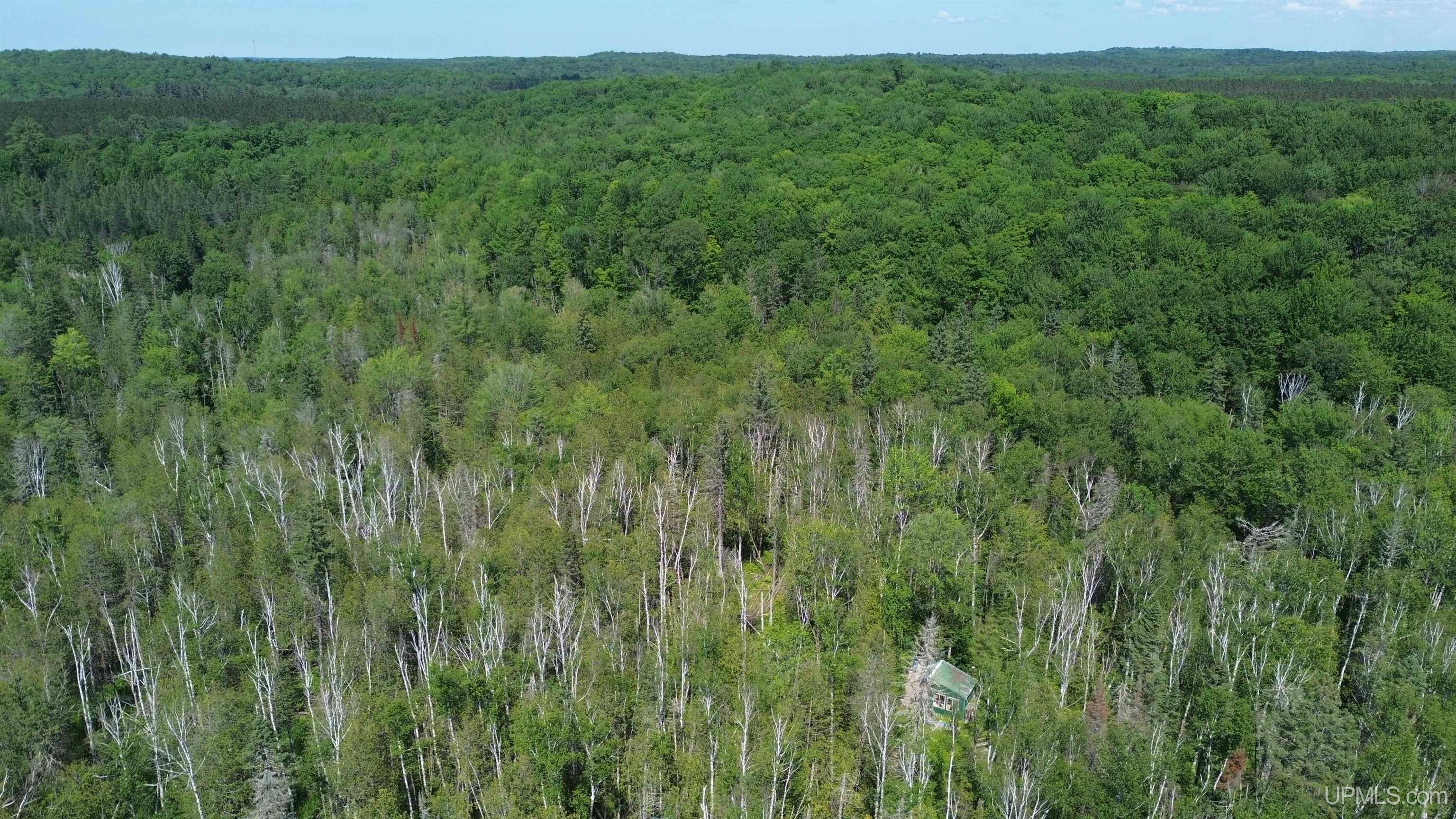 13 Highway Wetmore, MI 49895 - Photo 6 of 39