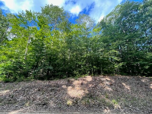 Hunters Ridge Gaylord, MI 49735 - Photo 1 of 6 Gallery Image 1