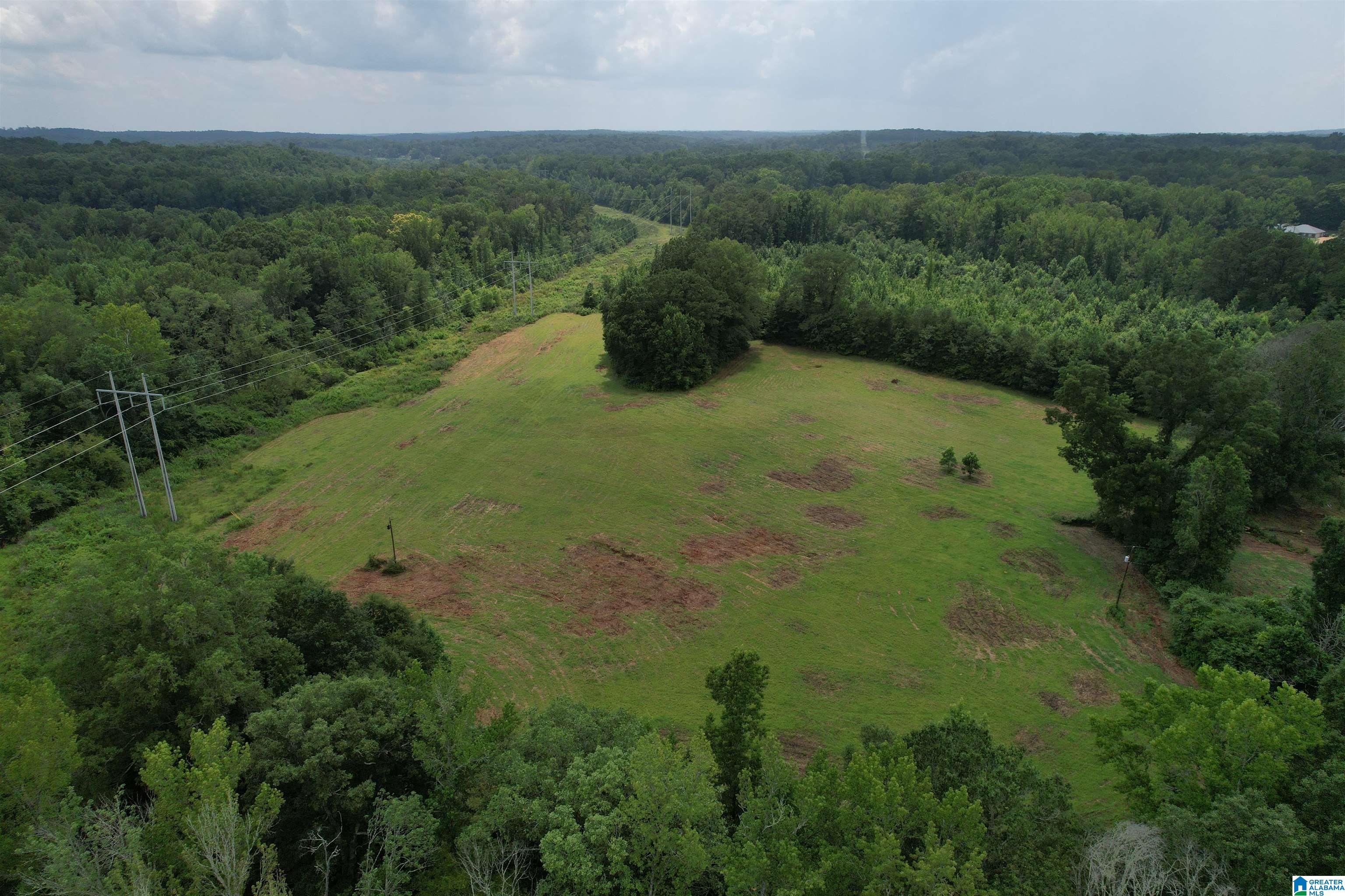 404 West Old Stagecoach Road Woodstock, AL 35188 - Photo 3 of 31