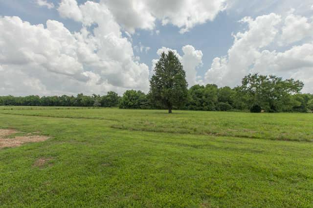 5603 Rucker Christiana Road Christiana, TN 37037 - Photo 14 of 20 Gorgeous mature trees spread thru-out this private 14.49 acres