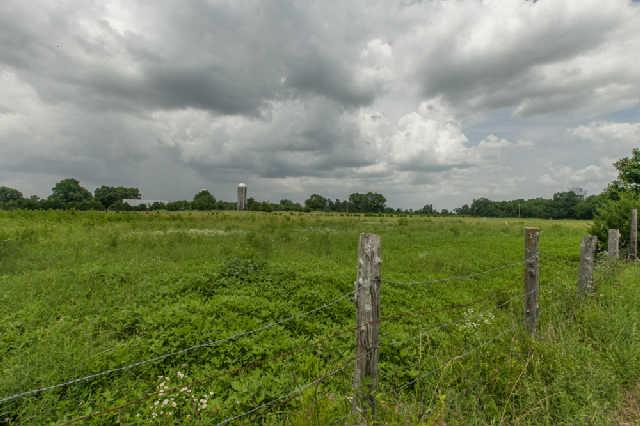 5603 Rucker Christiana Road Christiana, TN 37037 - Photo 17 of 20 Gorgeous views on TN farm land