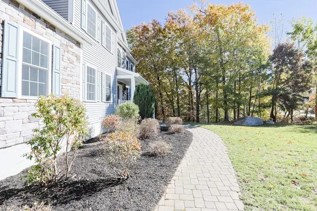 a view of a yard with plants and trees