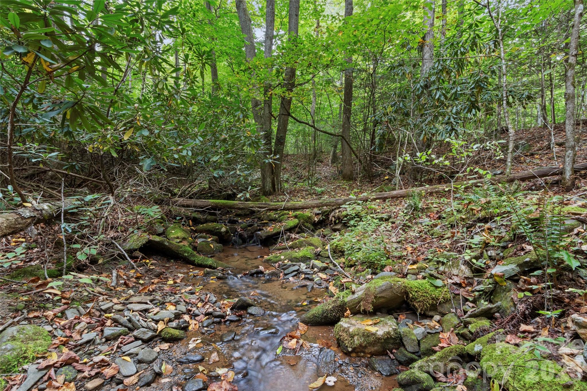 Tbd Pond Road Spruce Pine, NC 28777 - Photo 2 of 11 Gallery Image 2