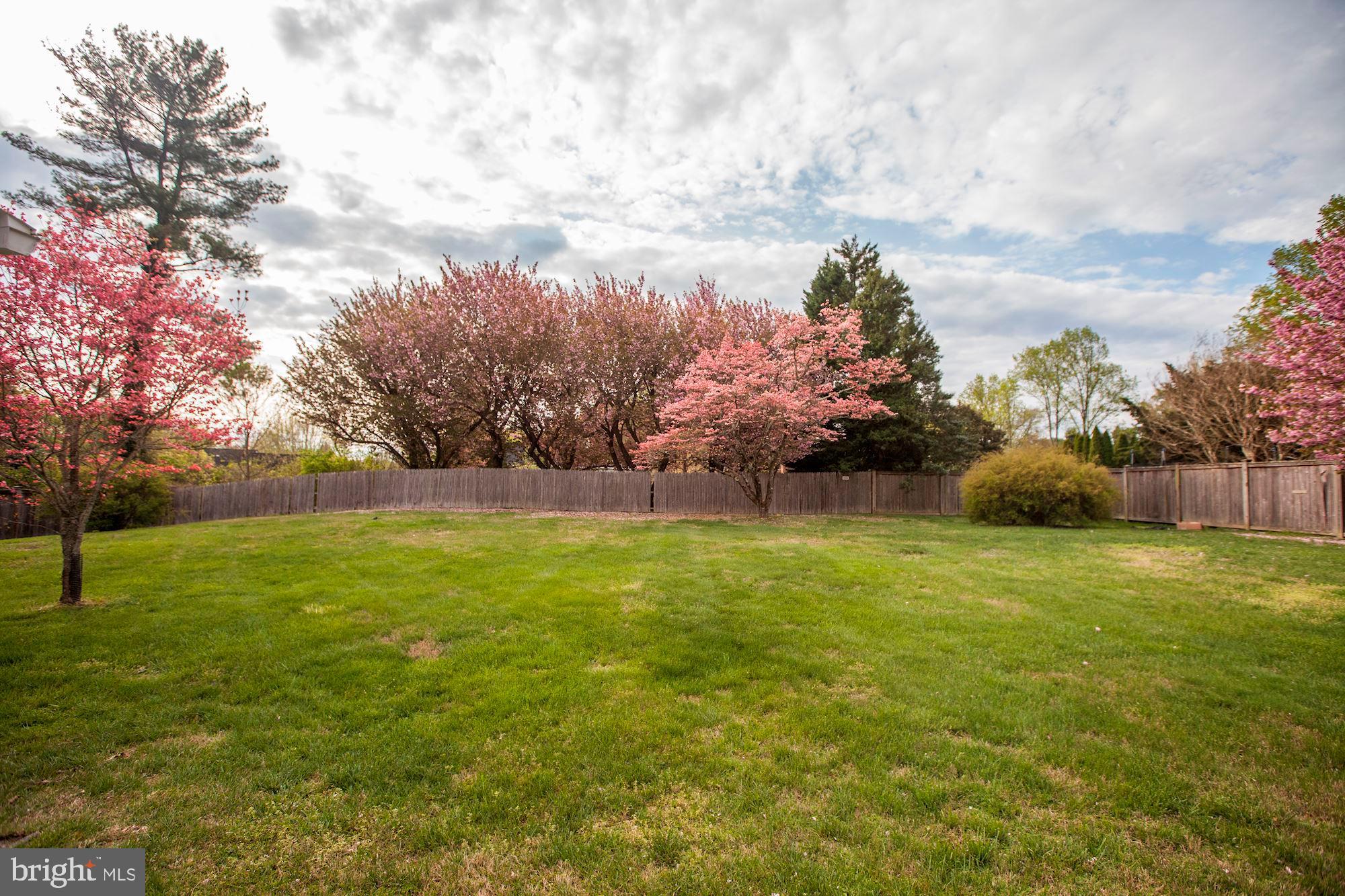 10031 Kendale Road Potomac, MD 20854 - Photo 51 of 52 Beautiful Flowering Trees