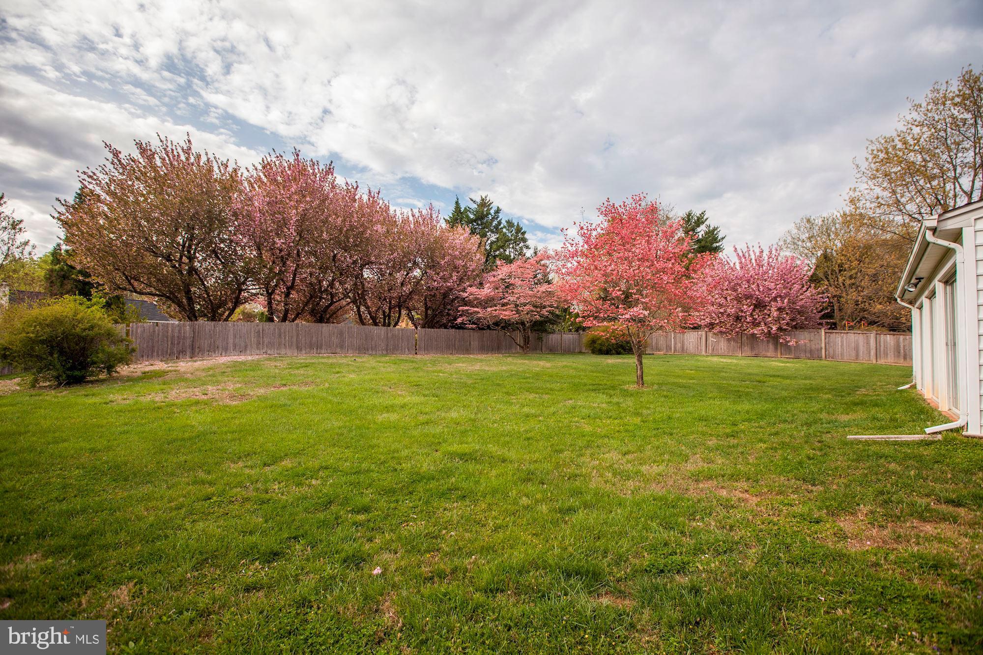 10031 Kendale Road Potomac, MD 20854 - Photo 52 of 52 Gallery Image 52
