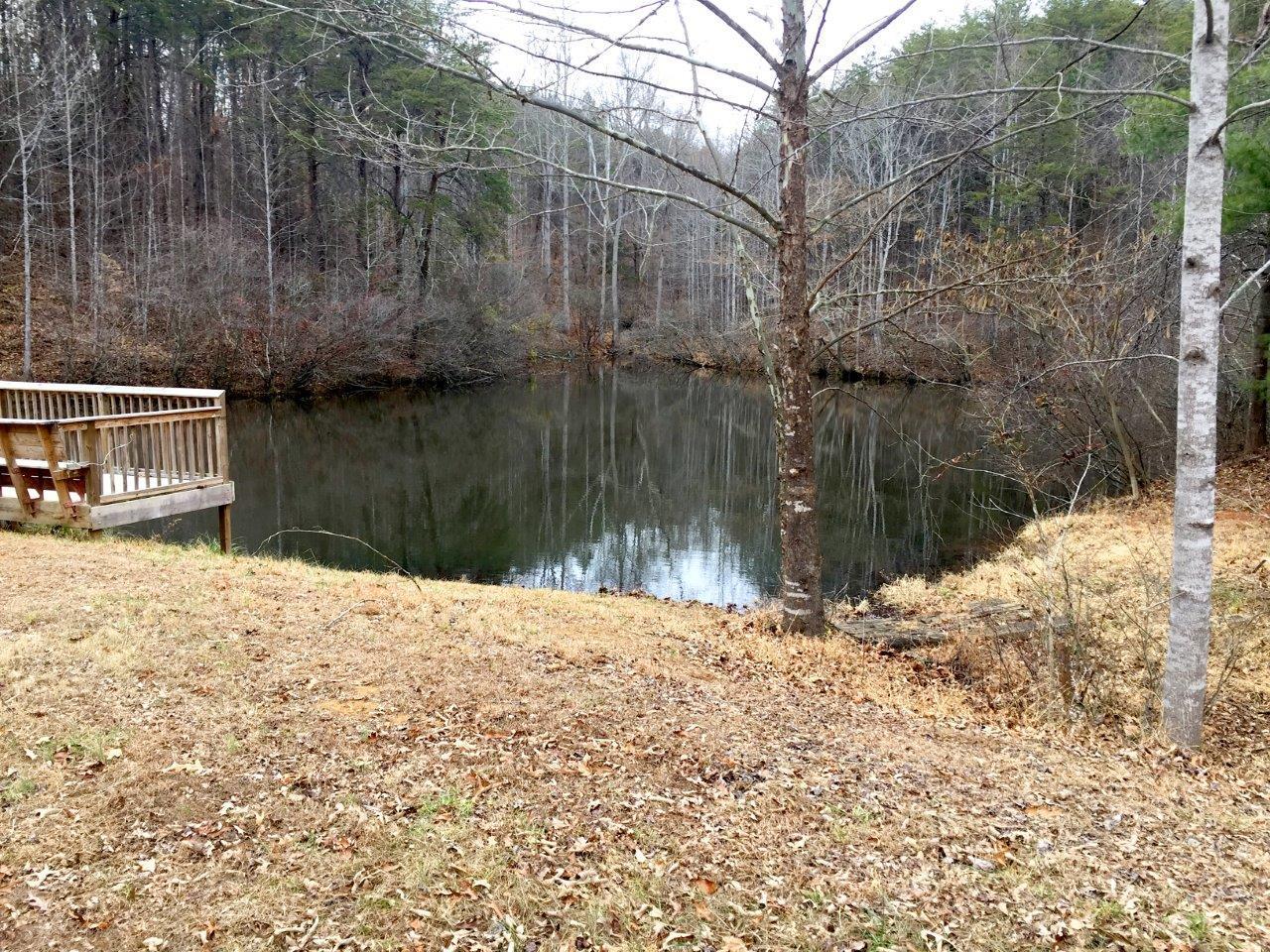 1336 Simmons Mill Road Thaxton, VA 24174 - Photo 30 of 59 IMG_3169