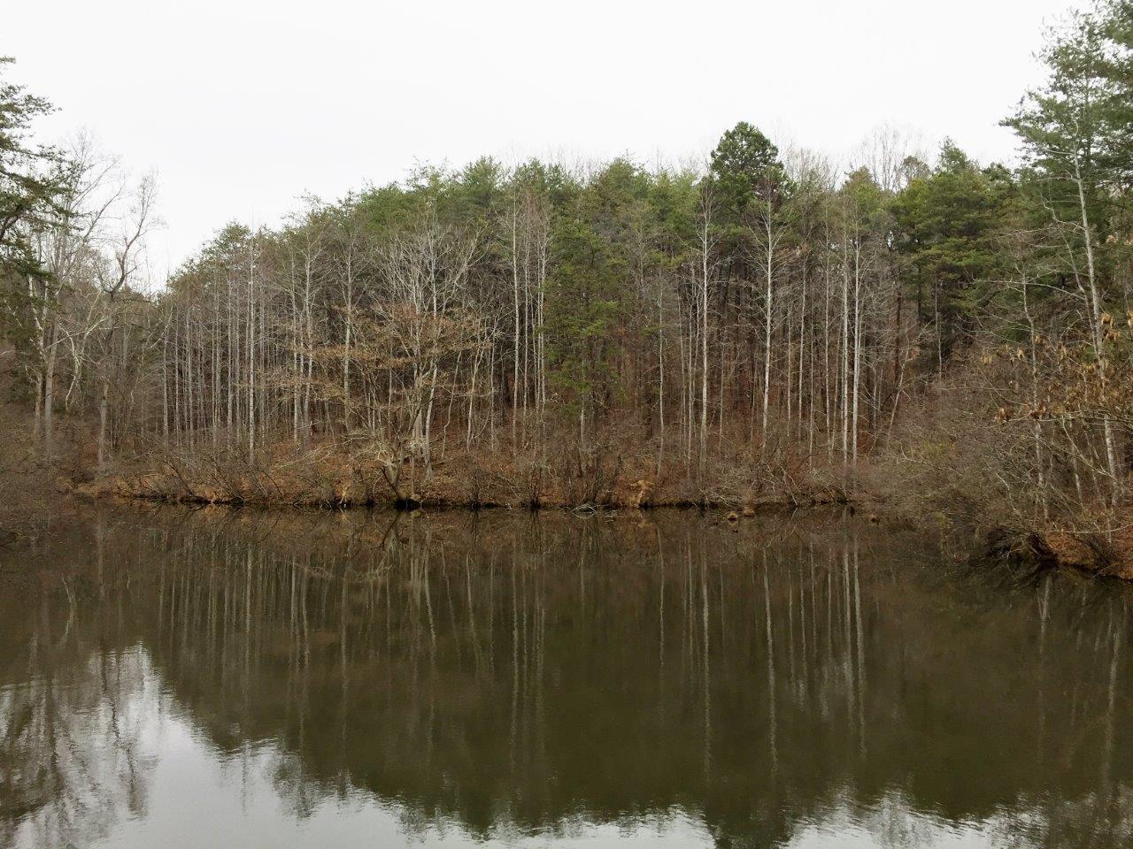 1336 Simmons Mill Road Thaxton, VA 24174 - Photo 31 of 59 IMG_3179