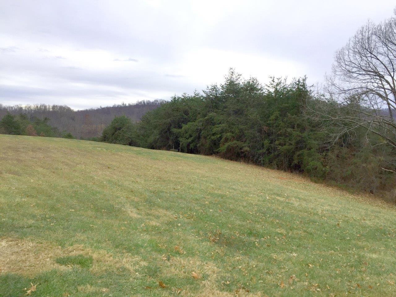 1336 Simmons Mill Road Thaxton, VA 24174 - Photo 36 of 59 IMG_3190